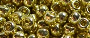 TR8 PF Galvanised Yellow Gold (TR-08-PF559)